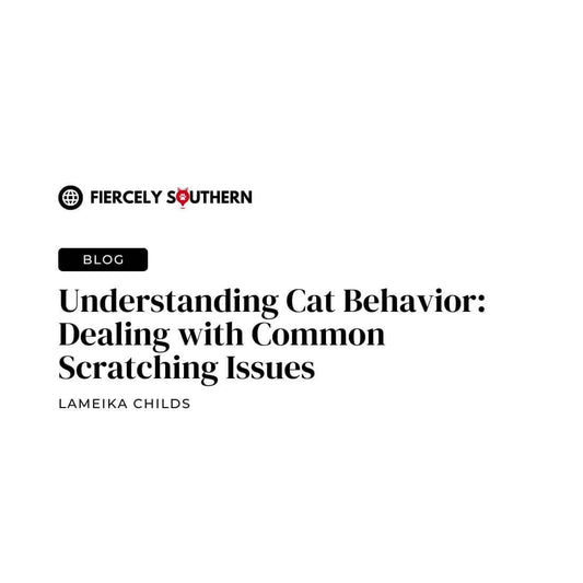 Understanding Cat Behavior: Dealing with Common Scratching Issues - Fiercely Southern