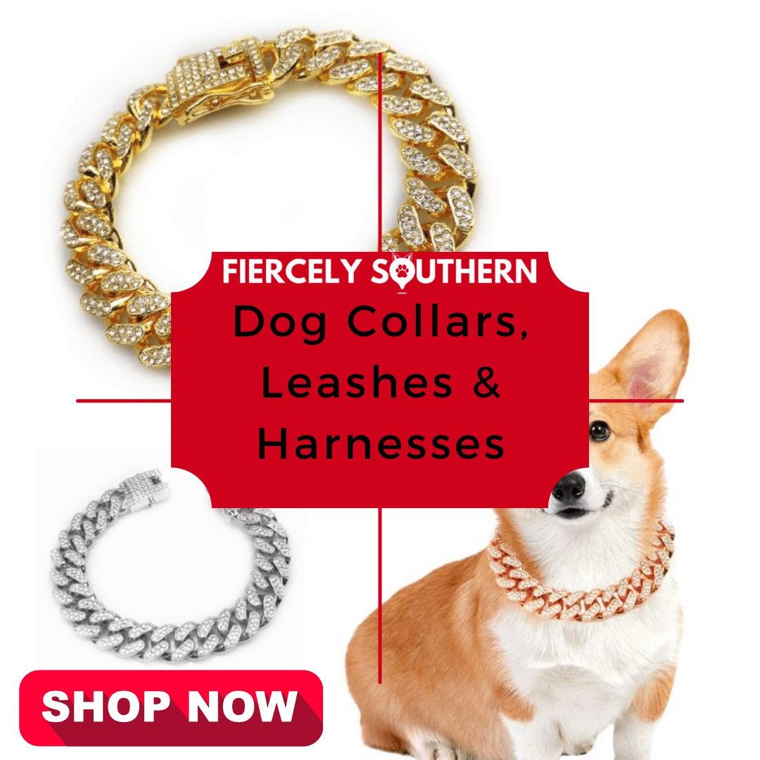 Dog Collars, Leashes & Harnesses - Fiercely Southern