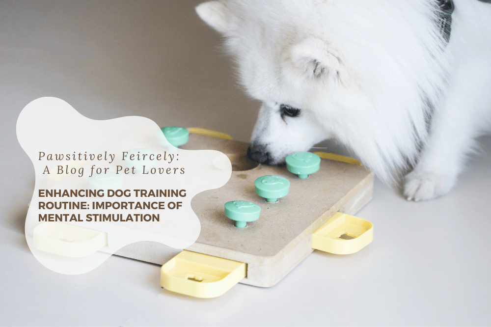 Enhancing Dog Training Routine: Importance of Mental Stimulation - Fiercely Southern