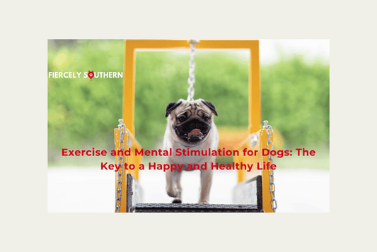 Exercise and Mental Stimulation for Dogs: The Key to a Happy and Healthy Life - Fiercely Southern