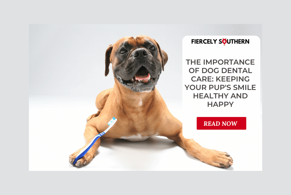 Healthy Dog Smiles: Importance of Dental Care - Fiercely Southern