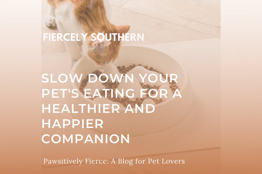 Slow Down Your Pet's Eating for a Healthier and Happier Companion - Fiercely Southern