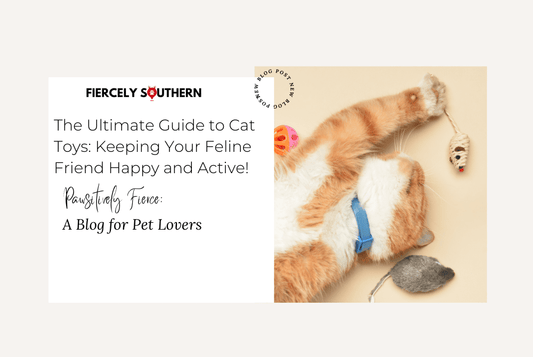 The Ultimate Guide to Cat Toys: Keeping Your Feline Friend Happy and Active! - Fiercely Southern