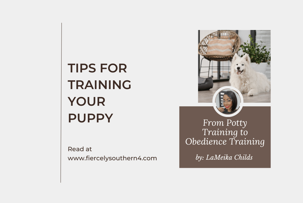 Tips for Training Your Puppy: From Potty Training to Obedience Training - Fiercely Southern