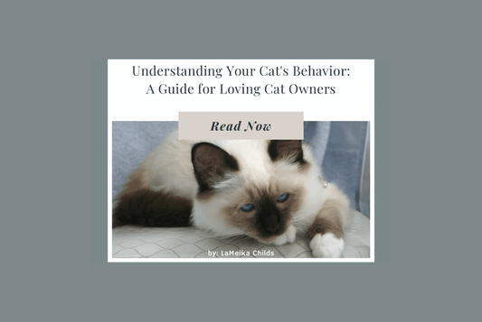 Understanding Your Cat's Behavior: A Guide for Loving Cat Owners - Fiercely Southern