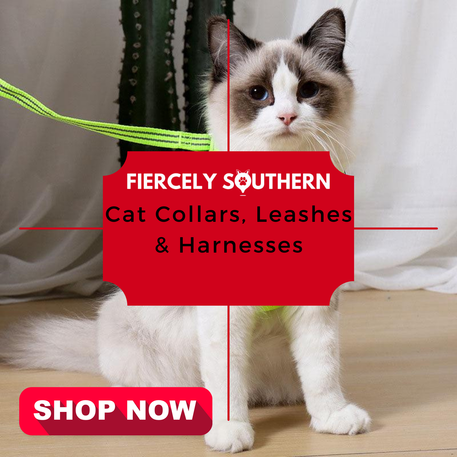 Cat Collars, Leashes & Harnesses - Fiercely Southern