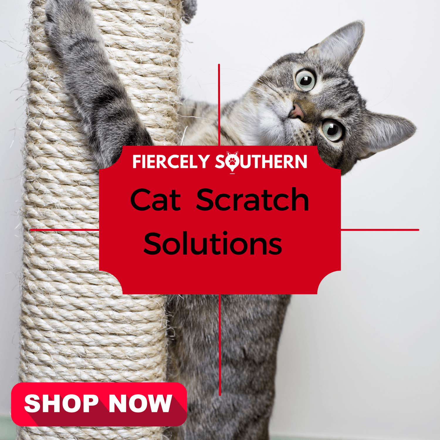 Cat Scratch Solutions - Fiercely Southern