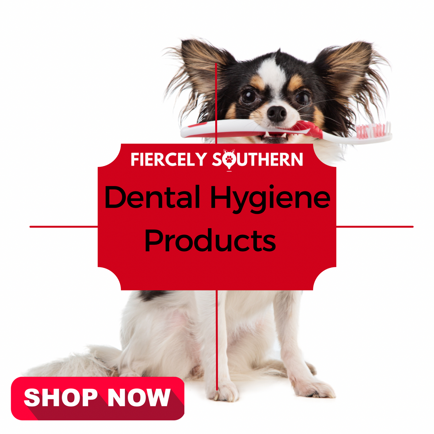 Dental Hygiene Products - Fiercely Southern