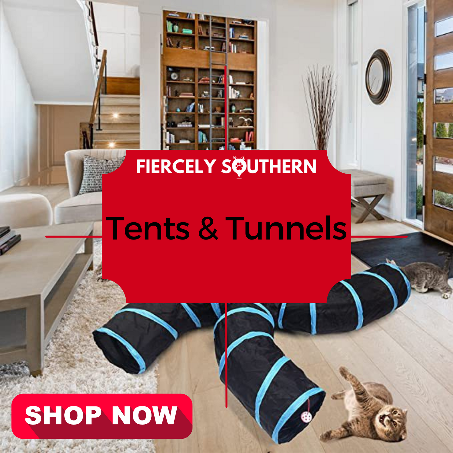 Tents & Tunnels - Fiercely Southern