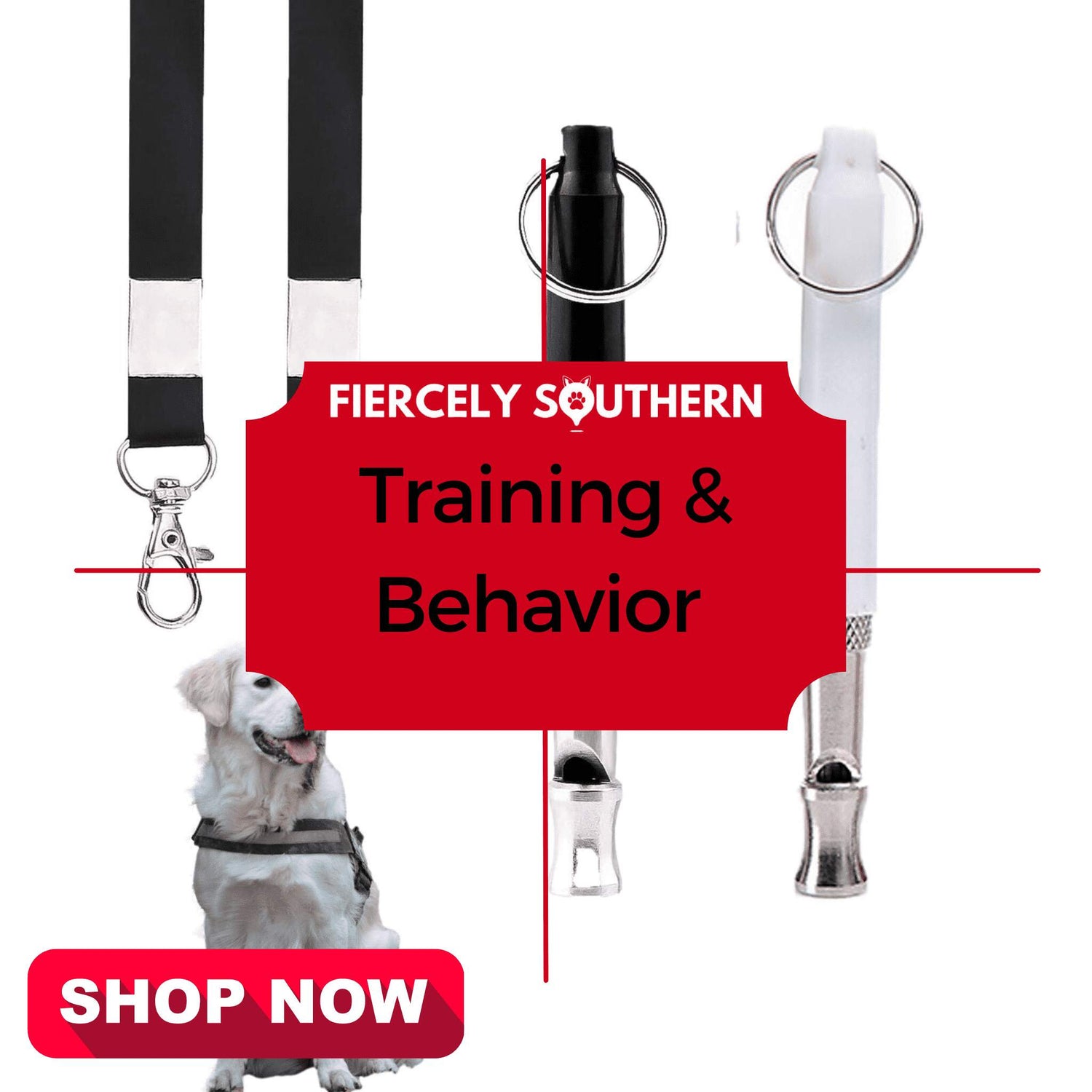 Training & Behavior - Fiercely Southern