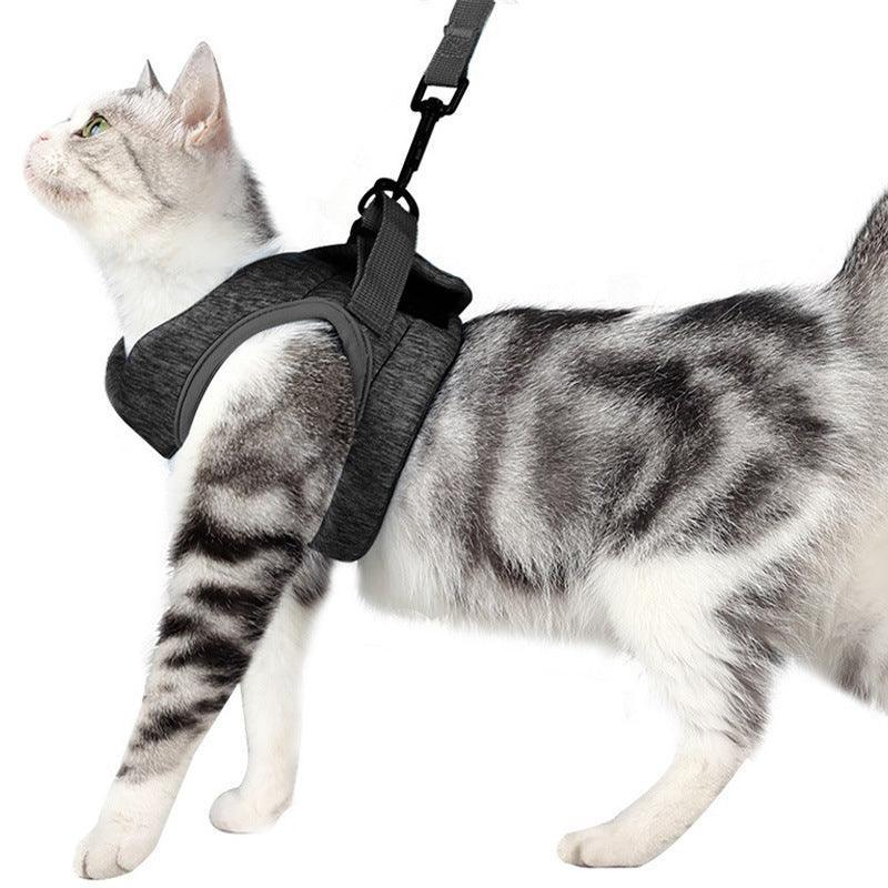 - Breathable Cat Harness Fiercely Southern