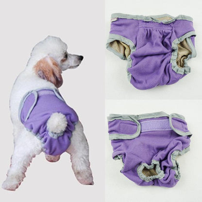 - Canine Physiological Pants Fiercely Southern