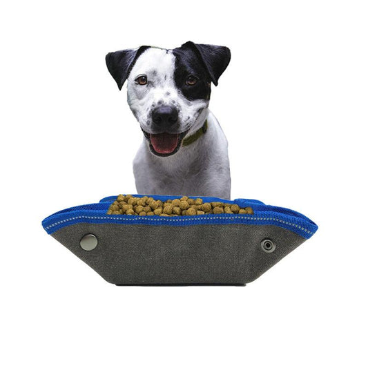 - Dog Feeding Bowl Fiercely Southern
