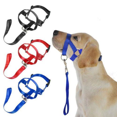 - Dog Leash Tangle Solution Fiercely Southern