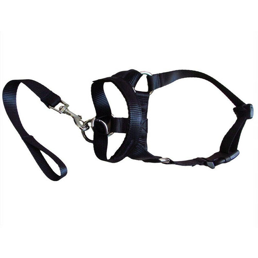 - Dog Leash Tangle Solution Fiercely Southern