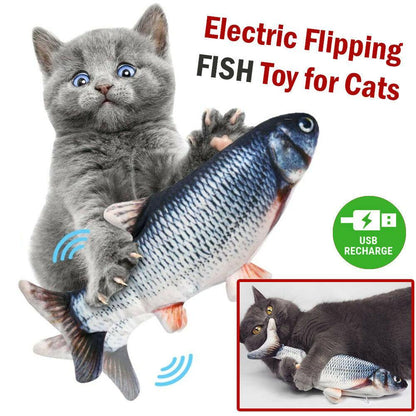 - Electric Cat Fish Toy Fiercely Southern