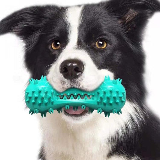 - Dog Chew Toy Fiercely Southern