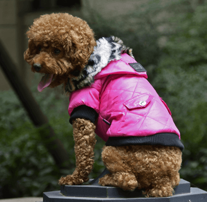 - Fur Collar Dog Coat Fiercely Southern