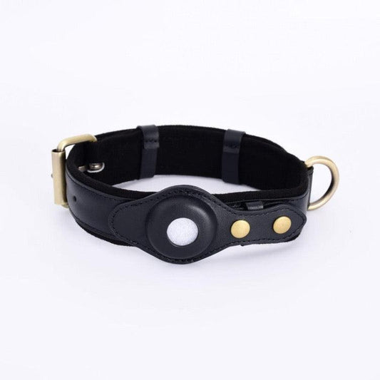 - Pet GPS Tracking Collar Fiercely Southern
