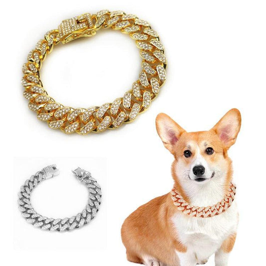 - Hip Hop Pet Collars Fiercely Southern