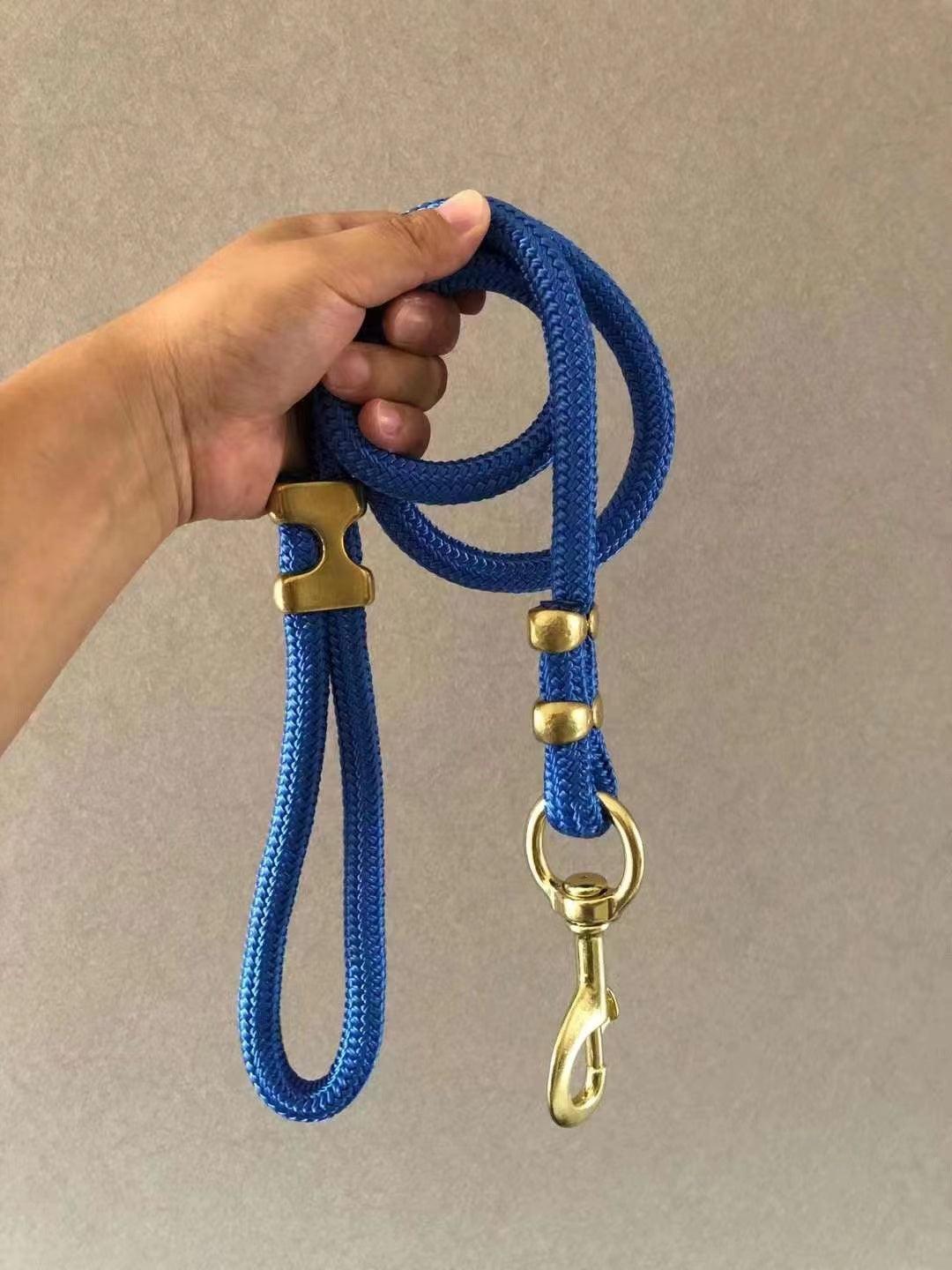 - Large Dog Walking Leash Fiercely Southern