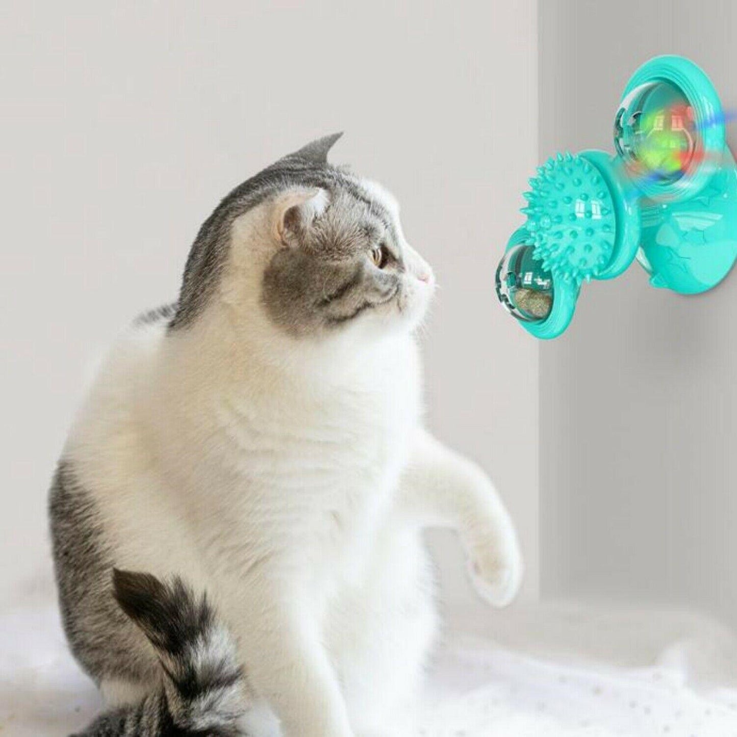 - LED Windmill Cat Toy Fiercely Southern