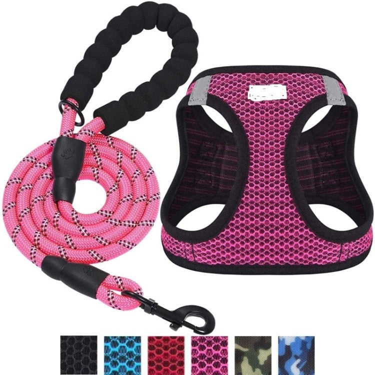 - Pet Harness Leash Fiercely Southern