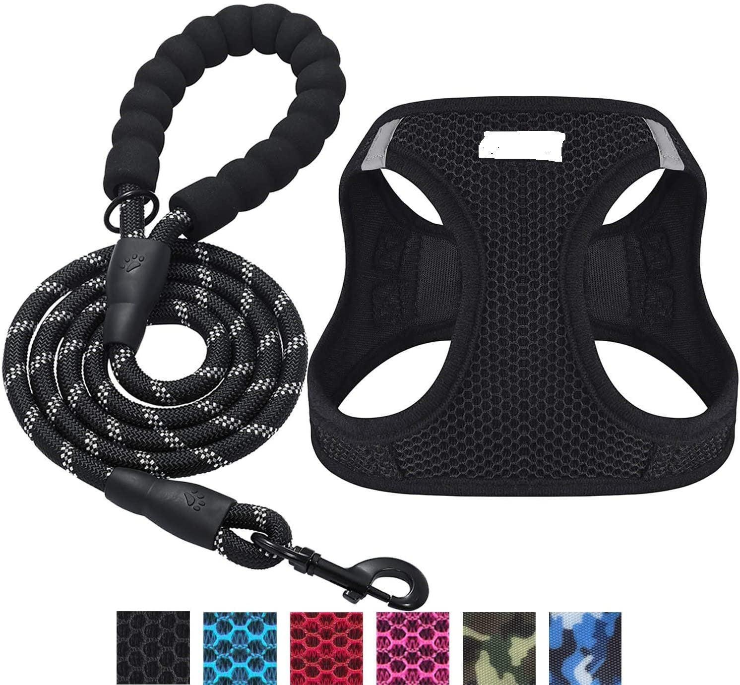 - Pet Harness Leash Fiercely Southern