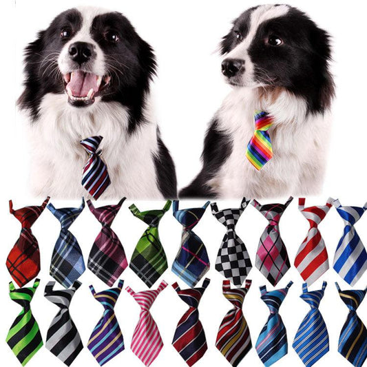 - Pet Neckties Fiercely Southern