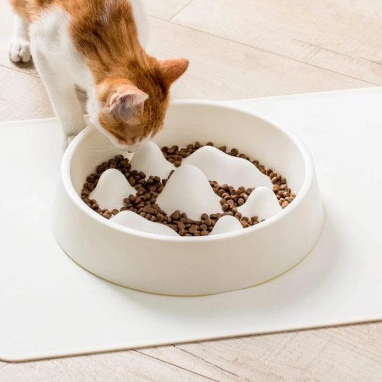 - Pet Slow Food Bowl Fiercely Southern