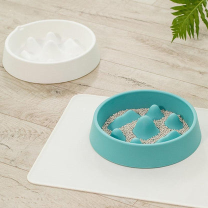 - Pet Slow Food Bowl Fiercely Southern