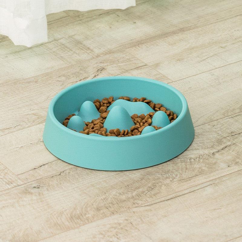 - Pet Slow Food Bowl Fiercely Southern