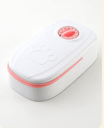 - Dog Dual Meal Feeder Fiercely Southern
