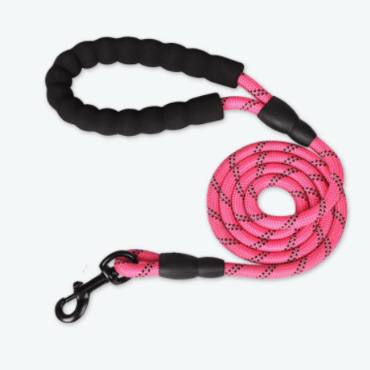 - Reflective Dog Leash Fiercely Southern