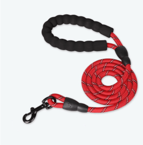 - Reflective Dog Leash Fiercely Southern