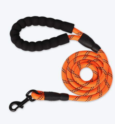 - Reflective Dog Leash Fiercely Southern