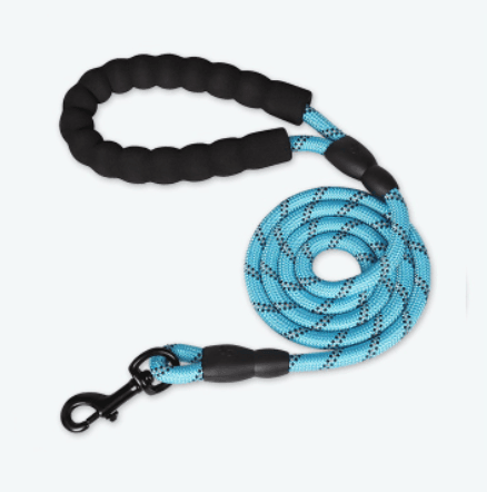 - Reflective Dog Leash Fiercely Southern