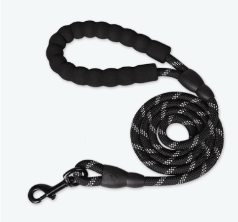 - Reflective Dog Leash Fiercely Southern