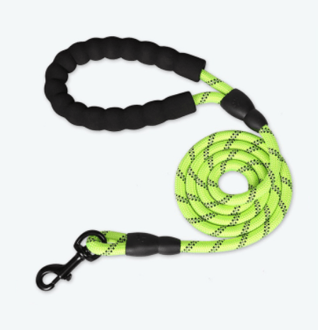 - Reflective Dog Leash Fiercely Southern