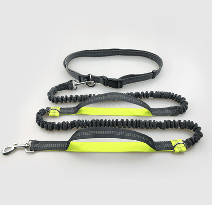 - Reflective Dog Running Leash Fiercely Southern