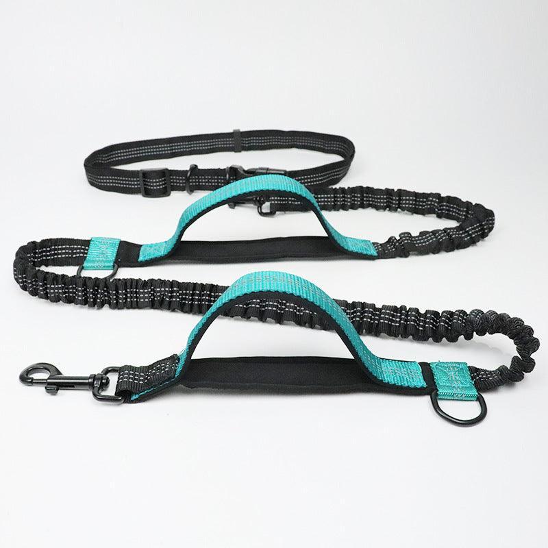 - Reflective Dog Running Leash Fiercely Southern