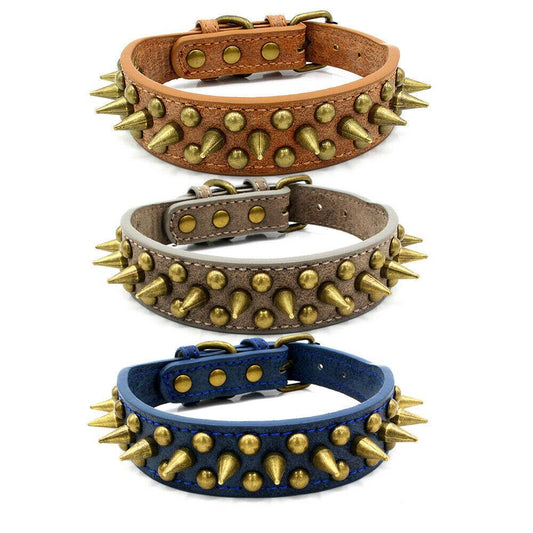 - Retro Studded Pet Collar Fiercely Southern