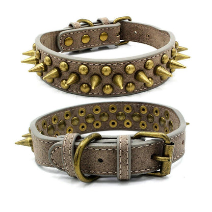 - Retro Studded Pet Collar Fiercely Southern