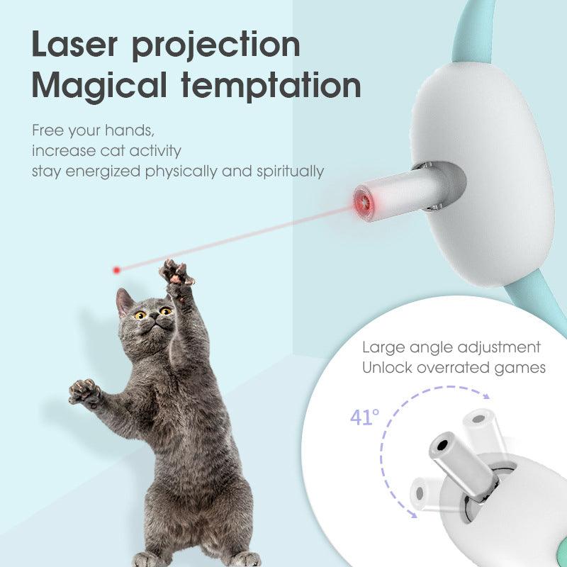 - Laser Cat Collar Fiercely Southern