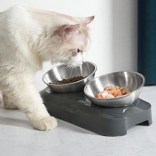 - Stainless Steel Pet Bowls Fiercely Southern