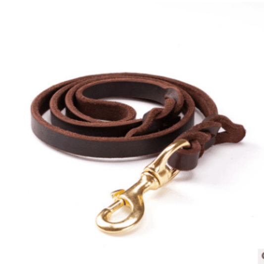 - Leather Dog Leash Fiercely Southern