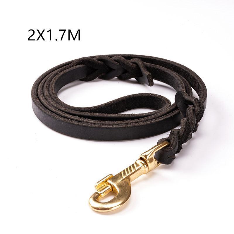 - Leather Dog Leash Fiercely Southern