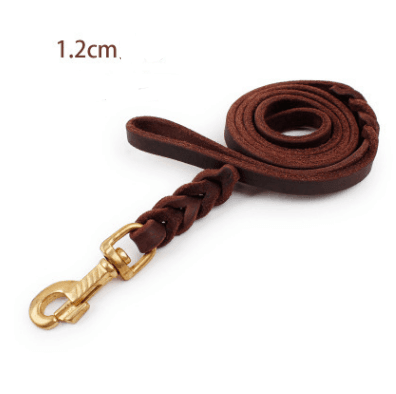 - Leather Dog Leash Fiercely Southern