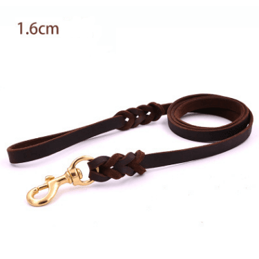 - Leather Dog Leash Fiercely Southern