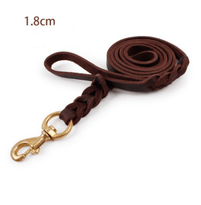 - Leather Dog Leash Fiercely Southern